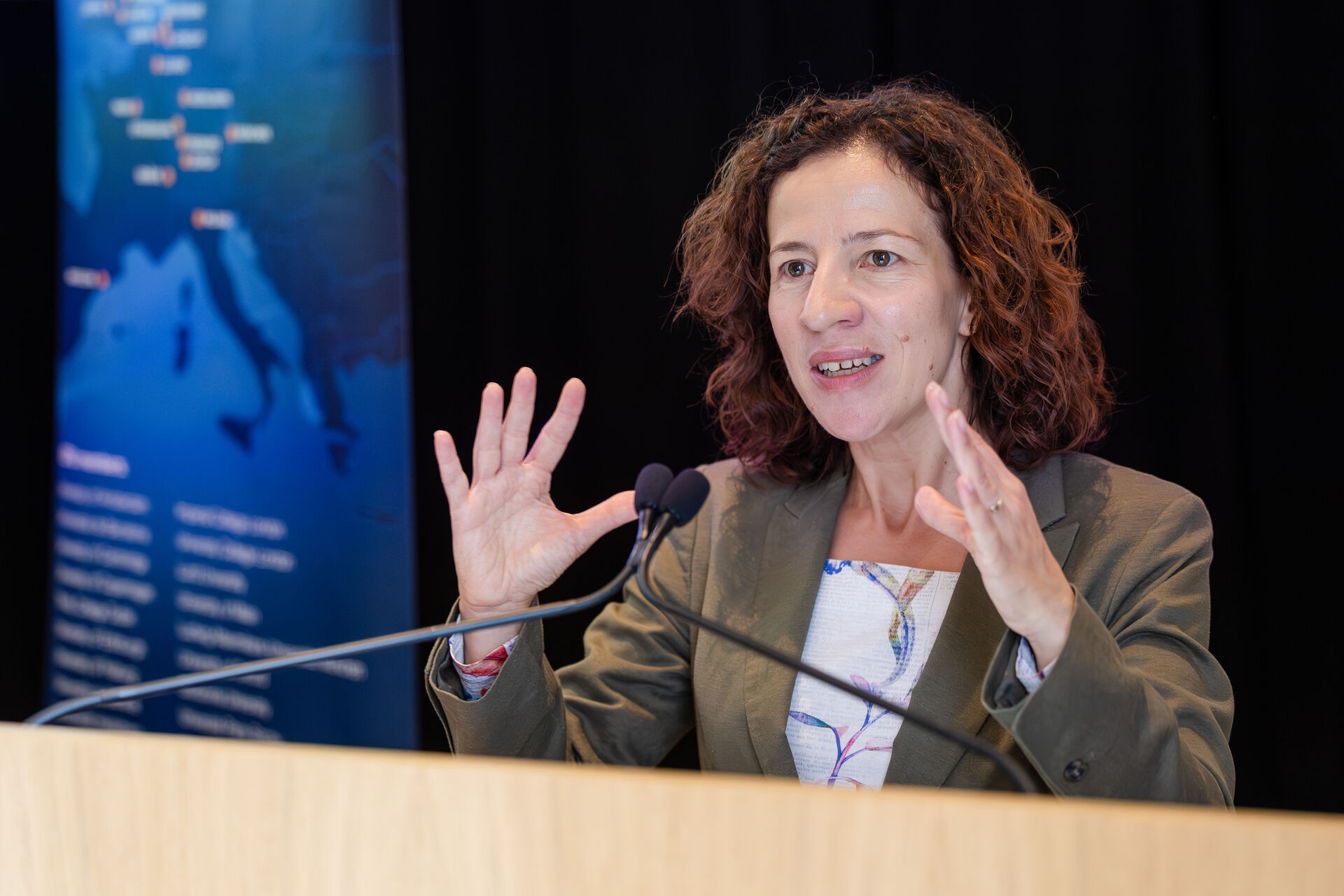 Roxana Minzatu speaking.