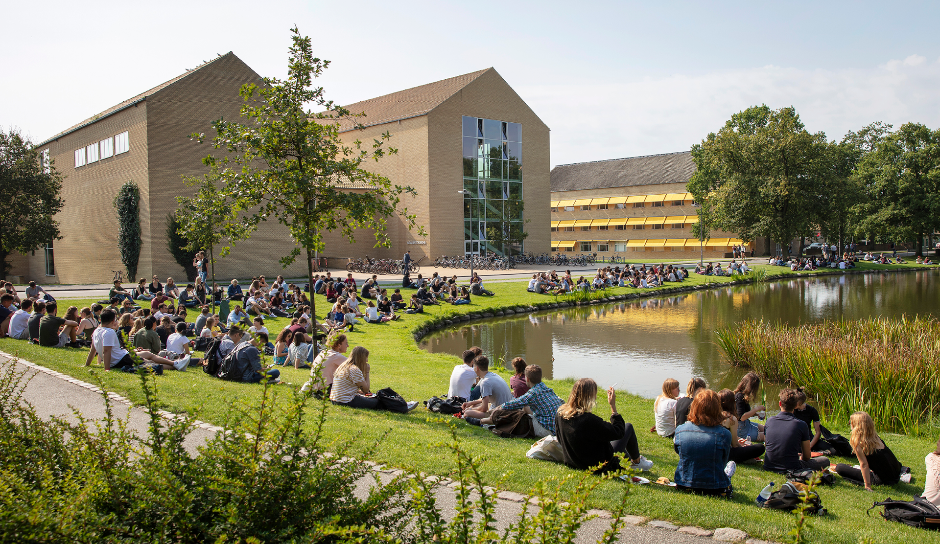 campus picture of students sitting on grass at a lake